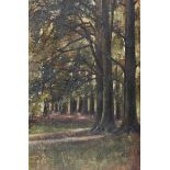 French School - FOREST OF FONTAINEBLEAU - Oil on Board - 20 x 13 inches - Unsigned