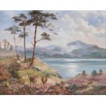 Prudence Turner - GLEN CANNICH - Oil on Canvas - 16 x 20 inches - Signed