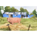 James MacIntrye, RUA - THE GREENISLAND PIG - Watercolour Drawing - 12 x 18 inches - Signed