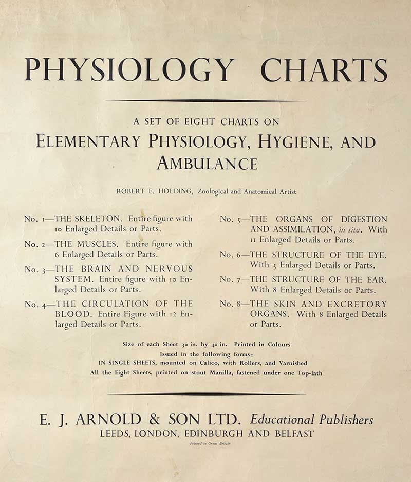 SET OF EIGHT PHYSIOLOGY CHARTS - Image 10 of 11