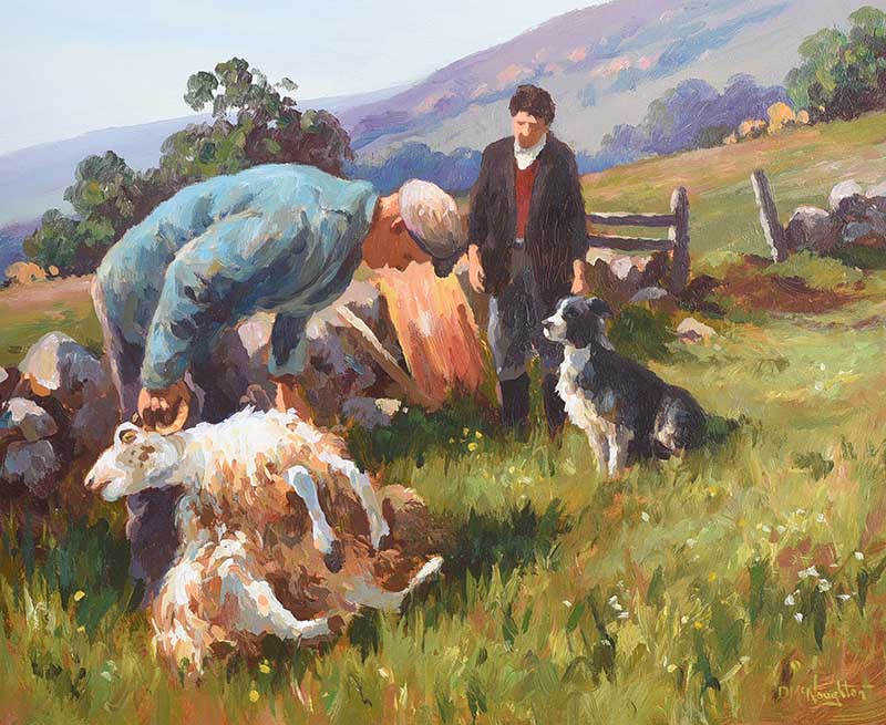 Donal McNaughton - SHEEP SHEARING - Oil on Board - 16 x 20 inches - Signed