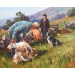 Donal McNaughton - SHEEP SHEARING - Oil on Board - 16 x 20 inches - Signed