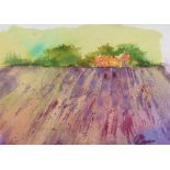 Lynda Cookson - LAVENDER FIELD - Watercolour Drawing - 6 x 8 inches - Signed