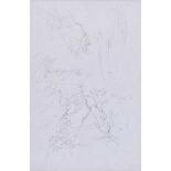 Tom Carr, HRHA RUA RWS - HEDGE ROW - Pencil on Paper - 11 x 7 inches - Unsigned