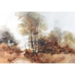 Phyllis Del Vecchio - AUTUMN WOODS - Watercolour Drawing - 20 x 28 inches - Signed