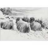 Irish School - SHEEP IN A WINTER LANDSCAPE - Pen & Ink Drawing - 6.5 x 9 inches - Unsigned