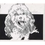 Martin Hassan - STUDY OF A DOG - Pen & Ink Drawing - 4 x 5 inches - Signed