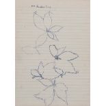 Tom Carr, HRHA RUA RWS - LEAF STUDY FROM A SCARF - Pen & Ink Drawing - 9 x 6 inches - Unsigned