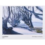 Lisa Ballard - DARK HEDGES & SHADOWS - Coloured Print - 13 x 19 inches - Unsigned