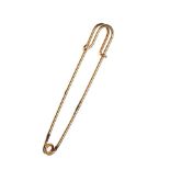 9CT GOLD STOCK PIN