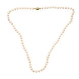 18CT GOLD CLASP STRAND OF CULTURED PEARLS