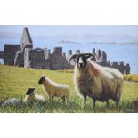 Keith Glasgow - SHEEP AT DUNLUCE - Coloured Print - 12 x 18 inches - Unsigned