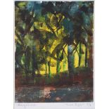 Harry C. Reid, HRUA - FOREST LIGHT - Coloured Monoprint (1/1) - 8 x 6 inches - Signed