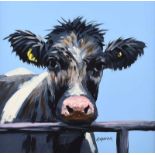 Ronald Keefer - CALF ON BLUE - Oil on Board - 24 x 24 inches - Signed