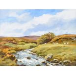 Robert Egginton - SHEEP BY MUCKISH GAP - Oil on Canvas - 12 x 16 inches - Signed