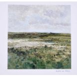 Sheila McClean, RUA - BOG COTTON - Coloured Print - 10.5 x 10.5 inches - Signed