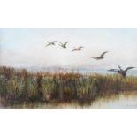 Andrew Nicholl, RHA - DUCKS OVER WETLANDS - Watercolour Drawing - 12 x 20 inches - Signed