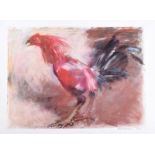 Basil Blackshaw, HRHA HRUA - COCKEREL - Limited Edition Coloured Print (419/500) - 15 x 20