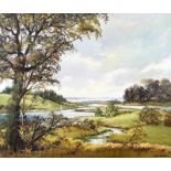 Denis Thornton - NEAR RINGHADDY, STRANGFORD LOUGH - Oil on Canvas - 22 x 26 inches - Signed