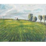 Patrick McNally - THE FIELD, ST MARGARETS, NORTH COUNTY DUBLIN - Oil on Canvas - 20 x 24 inches -