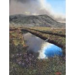 Sam Mateer, RUA - BOG REFLECTIONS - Pastel on Paper - 13 x 10 inches - Signed