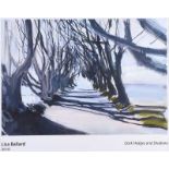 Lisa Ballard - DARK HEDGES & SHADOWS - Coloured Print - 13 x 19 inches - Signed