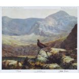 Julian Friers, RUA - IRISH RED GROUSE, MACGILLYCUDDY REEKS, COUNTY KERRY - Limited Edition