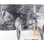 Basil Blackshaw, HRHA HRUA - STUDY OF A HORSE - Charcoal & Pencil on Paper - 38 x 48 inches - Signed