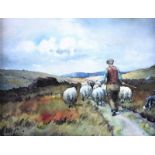 Charles McAuley - DRIVING SHEEP - Coloured Print - 6 x 8 inches - Unsigned