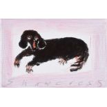 Neil Shawcross, RHA RUA - DACHSHUND - Oil on Canvas - 4 x 6 inches - Signed