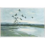 Peter Scott - WIDGEON OVER THE DUNES - Coloured Print - 14 x 21 inches - Signed