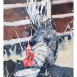 Julie Tute - COCKEREL - Watercolour Drawing - 15 x 13 inches - Signed