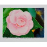 Sir Peter Blake CBE RDI RA, British b.1932-Camellia Japonica Incarnata, 2013; giclee in colours,