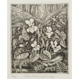 Robin Tanner, British 1904-1988- White Violets, 1973; etching, signed ‘Robin Tanner fec. et imp.’