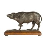 A painted plaster model of a water buffalo, India, early 20th century, on a rectangular oak base,