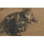 Circle of Henriette Ronner-Knip, Dutch 1821-1909- Study of a cat with her kittens; black chalk on