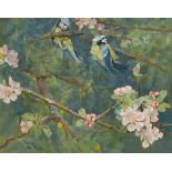 Arthur Wardle, British 1864-1949- Blue Tits; gouache, signed, 25.5x32cm (ARR) Provenance: Sotheby's,