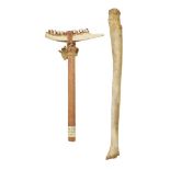 A First Nations wood-handled and jaw bone mounted axe, bears inscribed label from Banff Indian