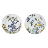 A pair of delft plates, Liverpool, 18th century, each decorated with panels of flowers with exotic