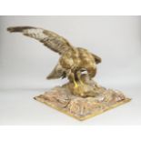 A taxidermists model of a Common Buzzard, 20th century, mounted with a rabbit at its feet, on a