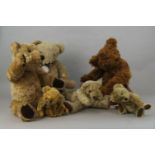 A teddy bear by Howell, applied with a label, Bears that are special, 53cm high, together with a