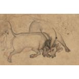 Two bulls in combat, North India, 19th century, ink and opaque pigments on paper, the two bulls with