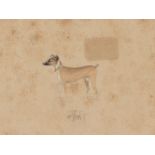 A group of eight studies of dogs, India, late 19th/early 20th century, pencil and gouache on