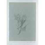 Sir Peter Blake CBE RDI RA, British b.1932- Flowers, France, 2017; giclee print on wove, signed