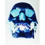 British School, late 20th/early 21st century- Skull; c-print, visible sheet 49.5 x 38cm (framed)