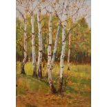 Attributed to Chemisov Olexander Dmytrovych, Ukrainian 1885-1969- Silver Birch Trees, 1931; oil on