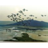 Sir Peter Markham Scott CH CBE FRS FZS, British 1909-1989- Geese in flight over marshland; colour