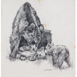 Kay Nixon, British 1895-1988- Mother bear playing with her cubs; black chalk on wove, signed in