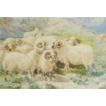 Basil Bradley, British 1842-1904- Sheep on a craggy outcrop; watercolour, signed, 24x35.5cm: