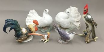 A pair of Rosenthal porcelain doves,